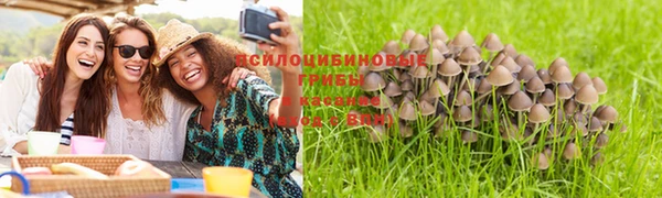 мескалин Армянск